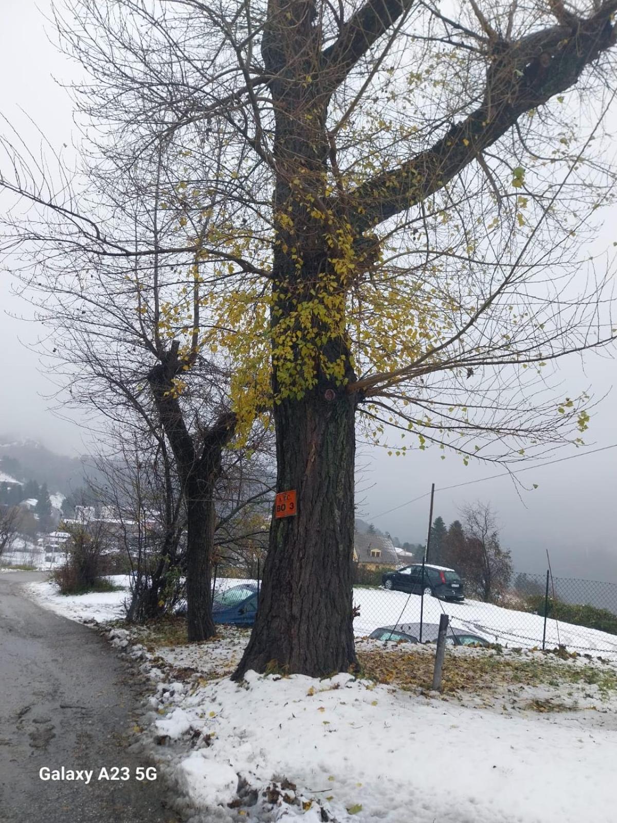 La Corte Dei Celti San Benedetto Del Querceto Zewnętrze zdjęcie